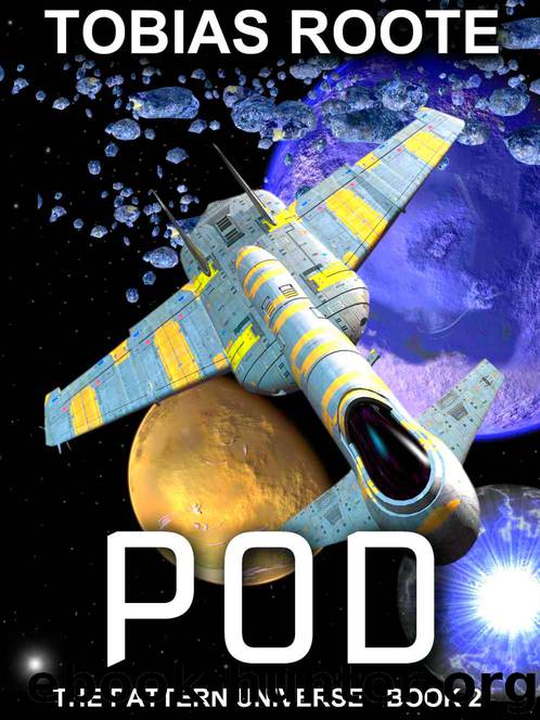 POD (The Pattern Universe) by Roote Tobias