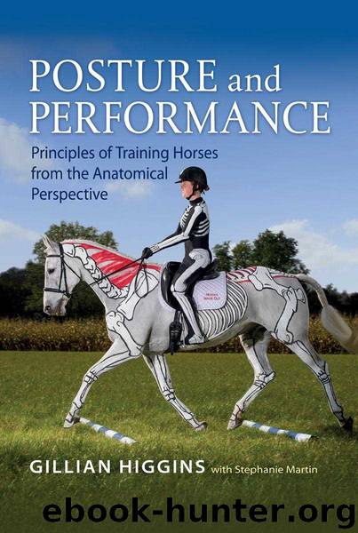 POSTURE AND PERFORMANCE: PRINCIPLES OF TRAINING HORSES FROM THE ANATOMICAL PERPECTIVE by GILLIAN HIGGINS