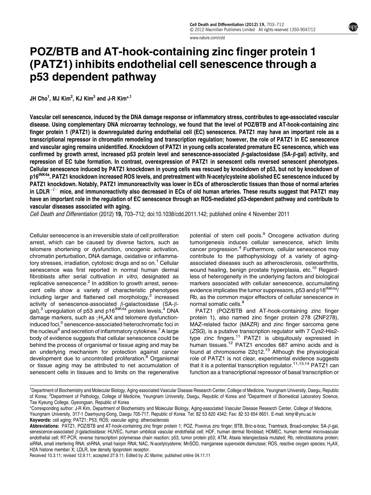 POZ&sol;BTB and AT-hook-containing zinc finger protein 1 (PATZ1) inhibits endothelial cell senescence through a p53 dependent pathway by J H Cho & M J Kim & K J Kim & J-R Kim