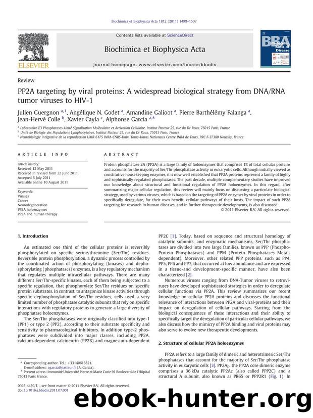 PP2A targeting by viral proteins: A widespread biological strategy from DNARNA tumor viruses to HIV-1 by unknow