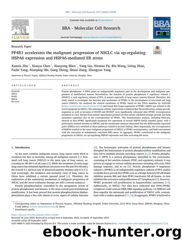 PP4R1 accelerates the malignant progression of NSCLC via up-regulating HSPA6 expression and HSPA6-mediated ER stress by unknow