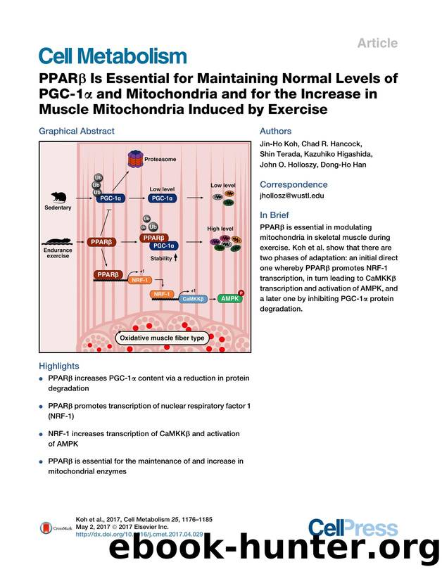 PPAR&beta; Is Essential for Maintaining Normal Levels of PGC-1&alpha; and Mitochondria and for the Increase in Muscle Mitochondria Induced by Exercise by Jin-Ho Koh & Chad R. Hancock & Shin Terada & Kazuhiko Higashida & John O. Holloszy & Dong-Ho Han