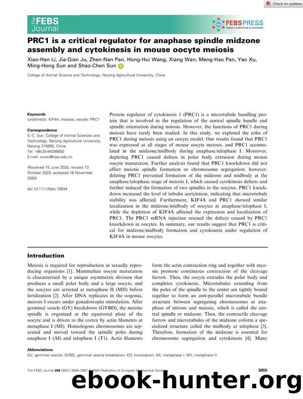 PRC1 is a critical regulator for anaphase spindle midzone assembly and cytokinesis in mouse oocyte meiosis by Unknown
