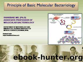 PRINCIPLE OF BASIC MOLECULAR BACTERIOLOGY (Introduction to molecular biology Book 1) by Dr. MR Shakibaie