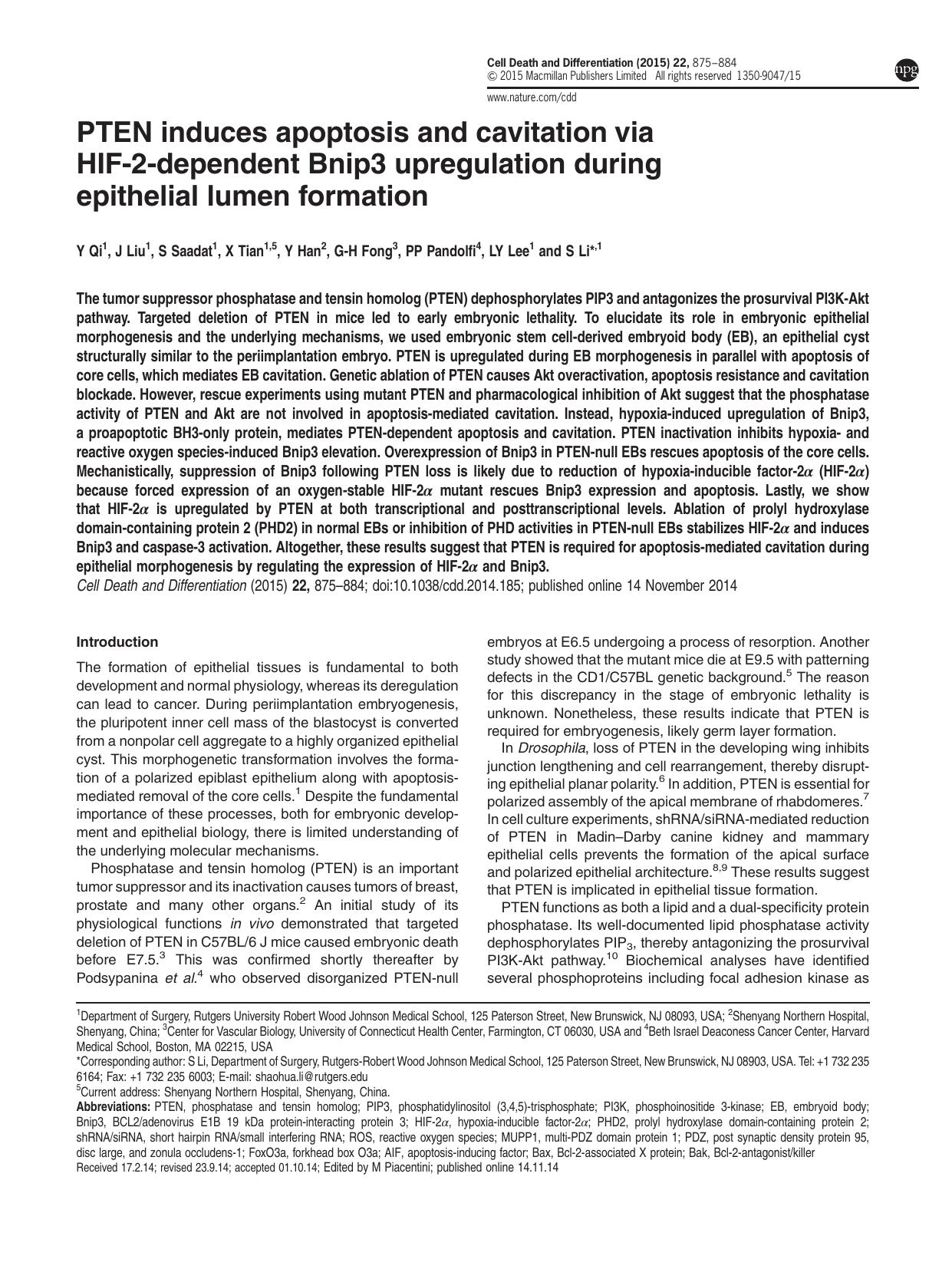 PTEN induces apoptosis and cavitation via HIF-2-dependent Bnip3 upregulation during epithelial lumen formation by Y Qi & J Liu & S Saadat & X Tian & Y Han & G-H Fong & P P Pandolfi & L Y Lee & S Li