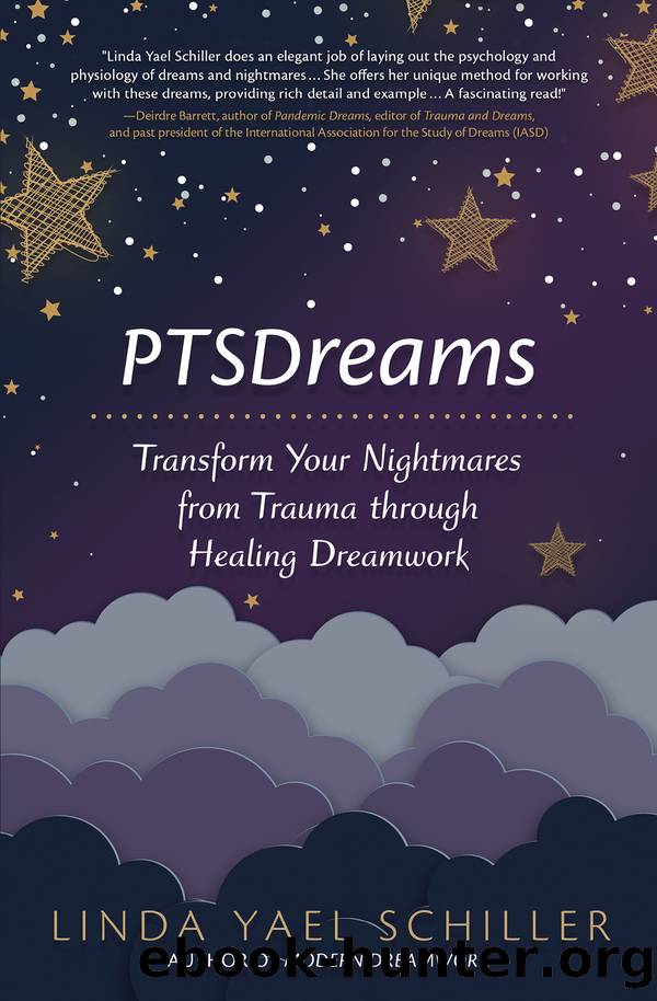 PTSDreams by Linda Yael Schiller
