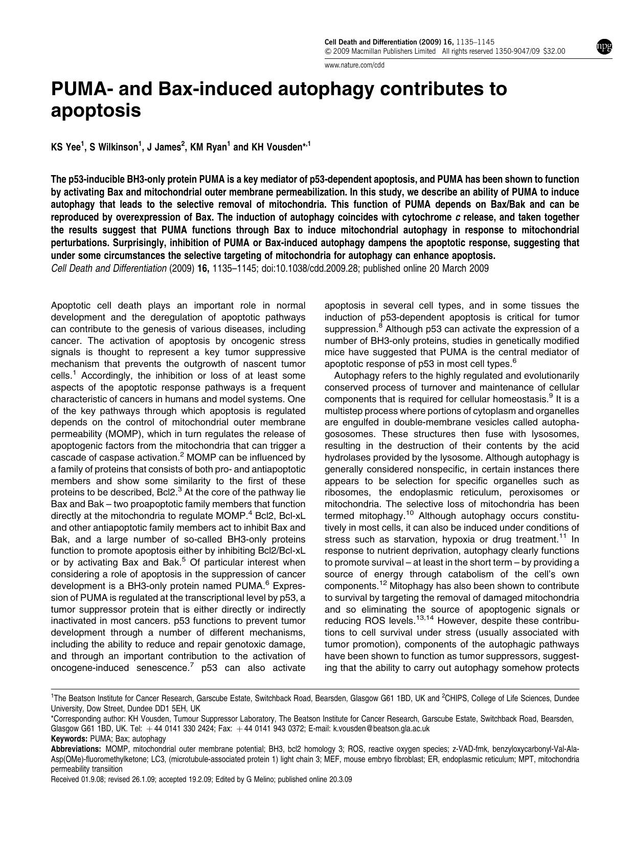 PUMA- and Bax-induced autophagy contributes to apoptosis by K S Yee & S Wilkinson & J James & K M Ryan & K H Vousden &
