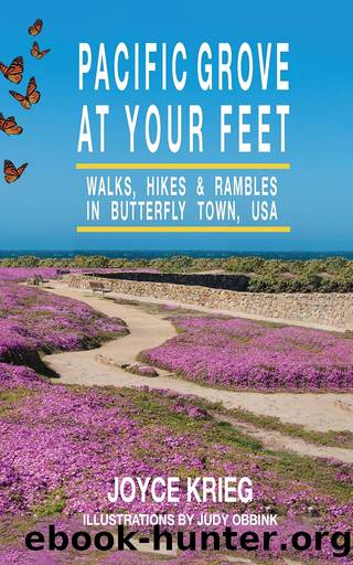 Pacific Grove at Your Feet by Joyce Krieg