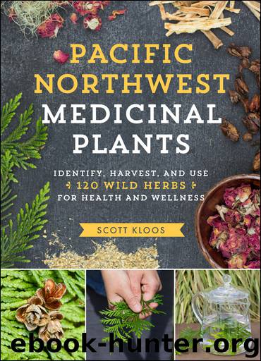 Pacific Northwest Medicinal Plants by Scott Kloos