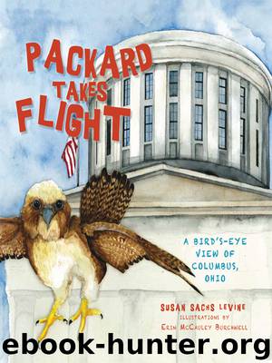 Packard Takes Flight by Susan Sachs Levine