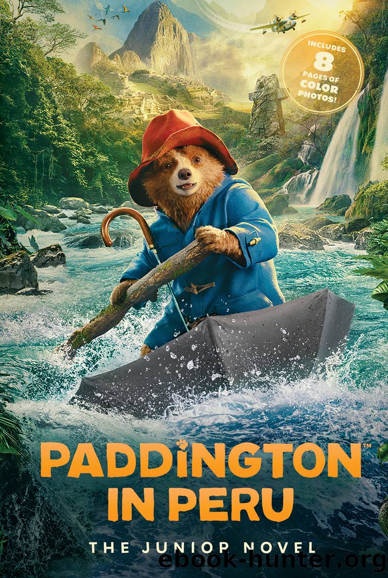 Paddington 3 by Annie Wilson