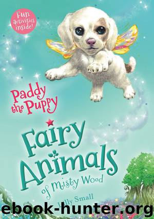 Paddy the Puppy by Lily Small