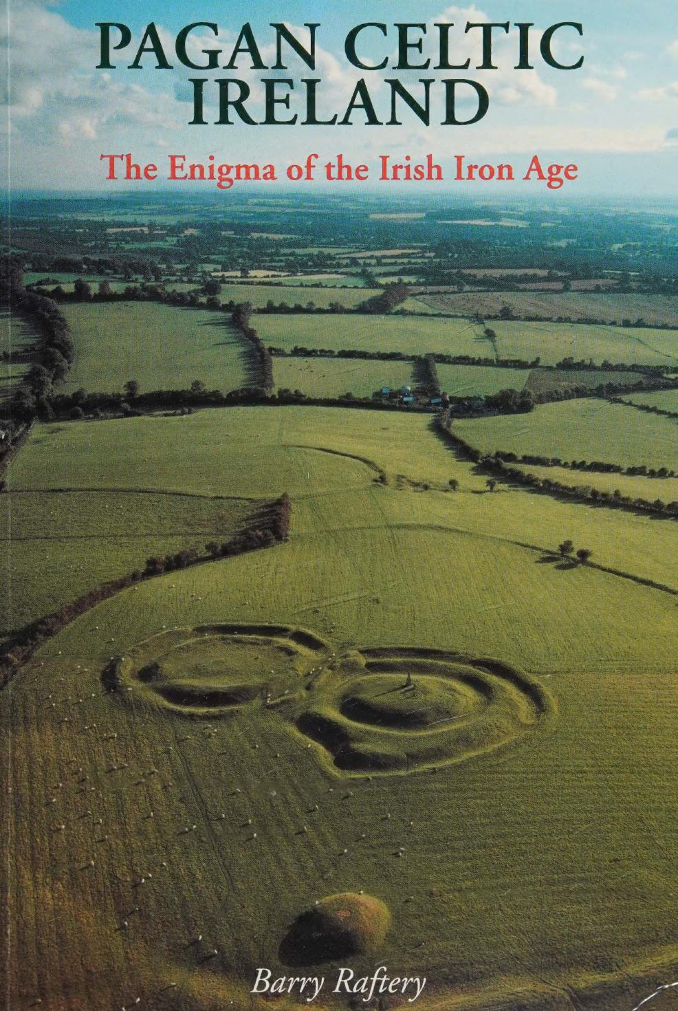 Pagan Celtic Ireland: The Enigma of the Irish Iron Age by Barry Raftery