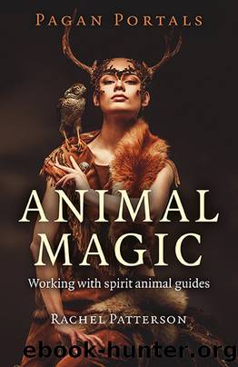Pagan Portals - Animal Magic: Working With Spirit Animal Guides by Rachel Patterson