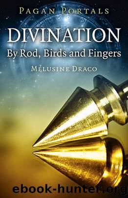 Pagan Portals - Divination: By Rod, Birds and Fingers by Melusine Draco