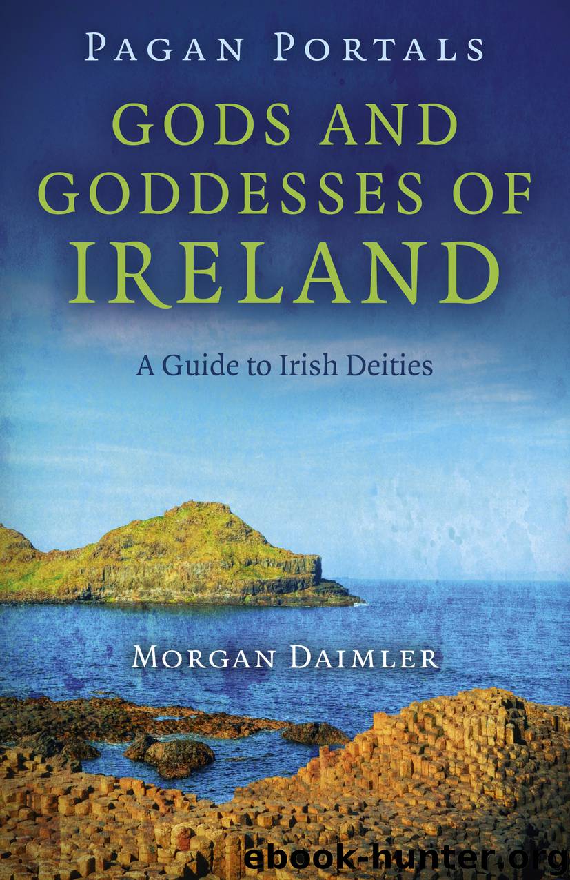 Pagan Portals - Gods and Goddesses of Ireland by Morgan Daimler