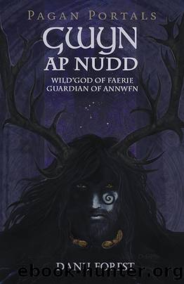 Pagan Portals - Gwyn Ap Nudd: Wild God of Faery, Guardian of Annwfn by Danu Forest