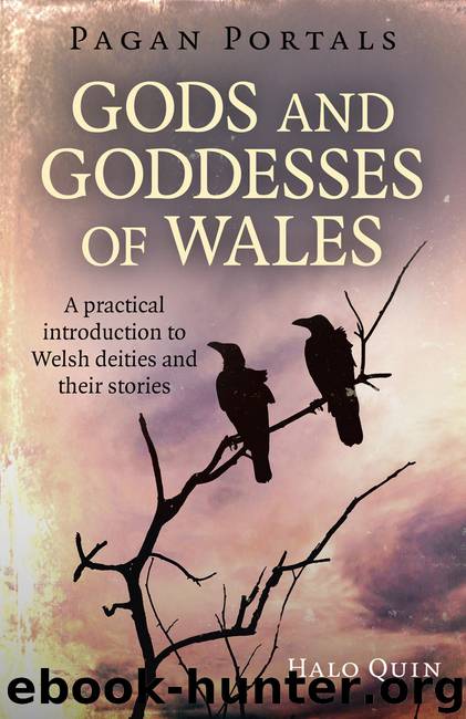 Pagan Portals--Gods and Goddesses of Wales by Halo Quin