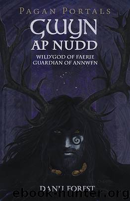 Pagan Portals--Gwyn ap Nudd by Danu Forest