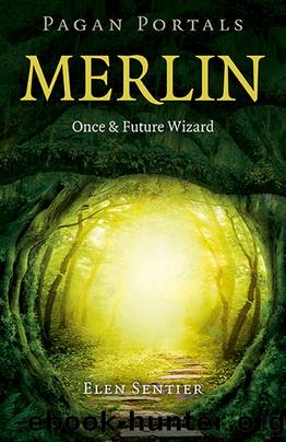Pagan Portals--Merlin by Elen Sentier