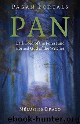 Pagan Portals--Pan by Melusine Draco