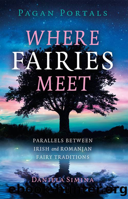 Pagan Portals--Where Fairies Meet by Daniela Simina