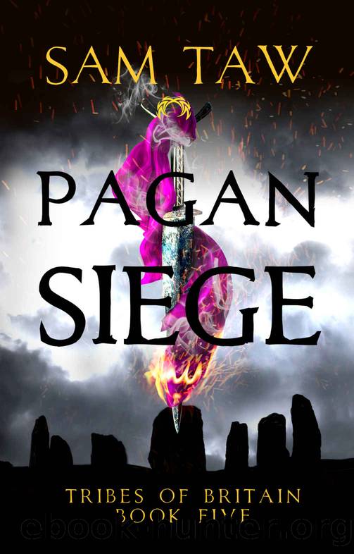 Pagan Siege (Tribes of Britain Book 5) by Sam Taw