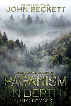 Paganism In Depth by John Beckett