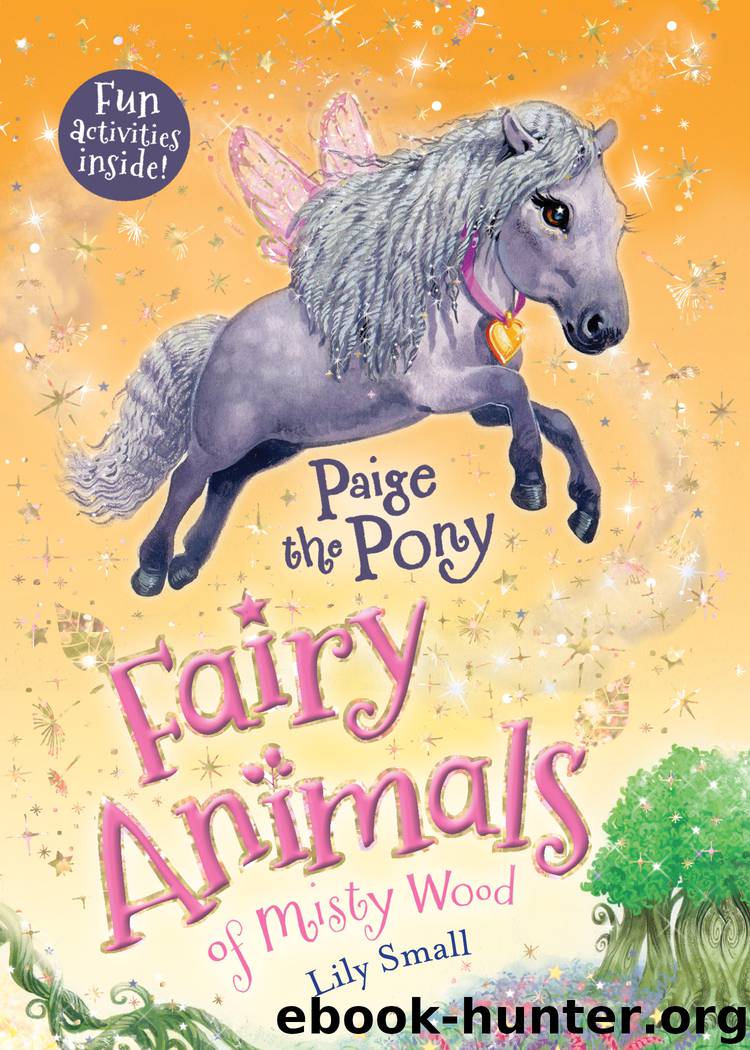 Paige the Pony by Lily Small