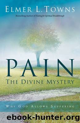 Pain by Elmer Towns