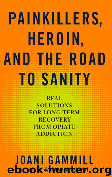 Painkillers, Heroin, and the Road to Sanity by Joani Gammill