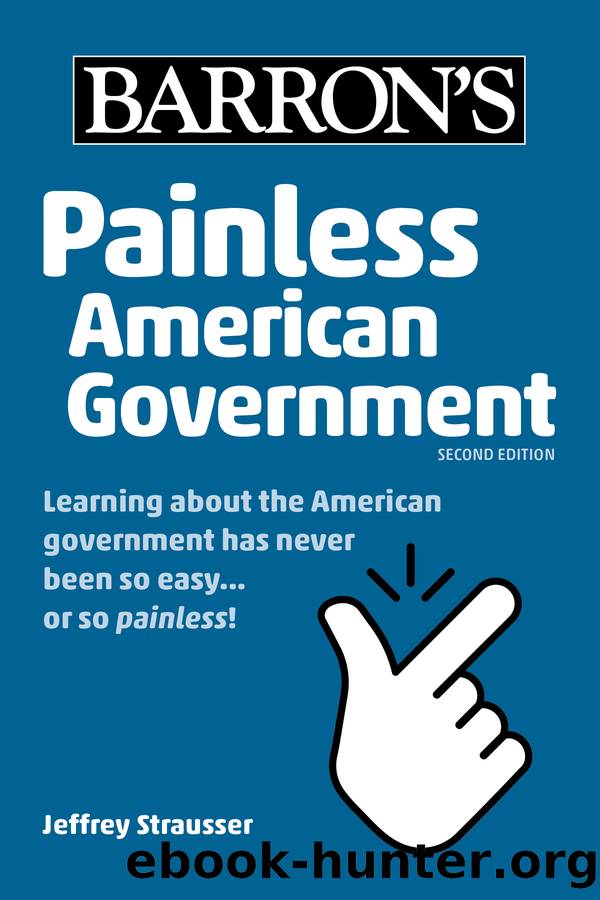 Painless American Government by Jeffrey Strausser
