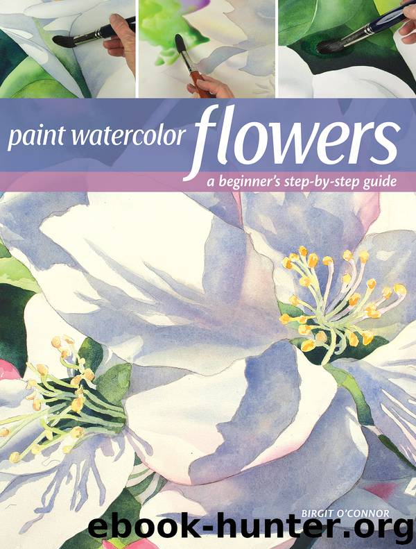Paint Watercolor Flowers by Birgit O'Connor