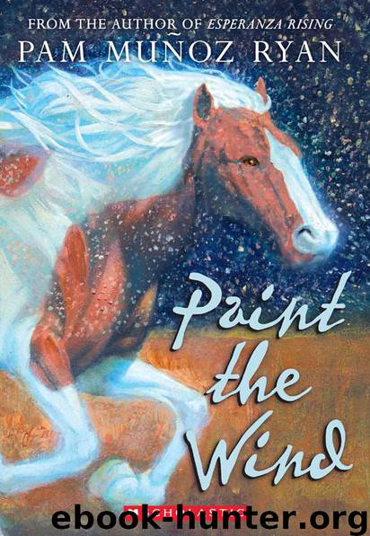 Paint the Wind by Ryan Pam Munoz