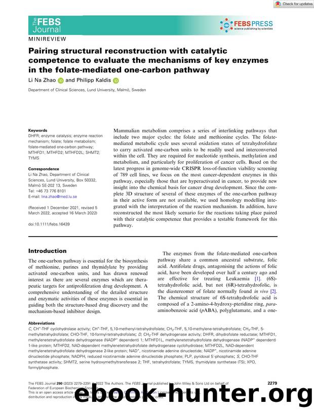 Pairing structural reconstruction with catalytic competence to evaluate the mechanisms of key enzymes in the folateâmediated oneâcarbon pathway by Unknown