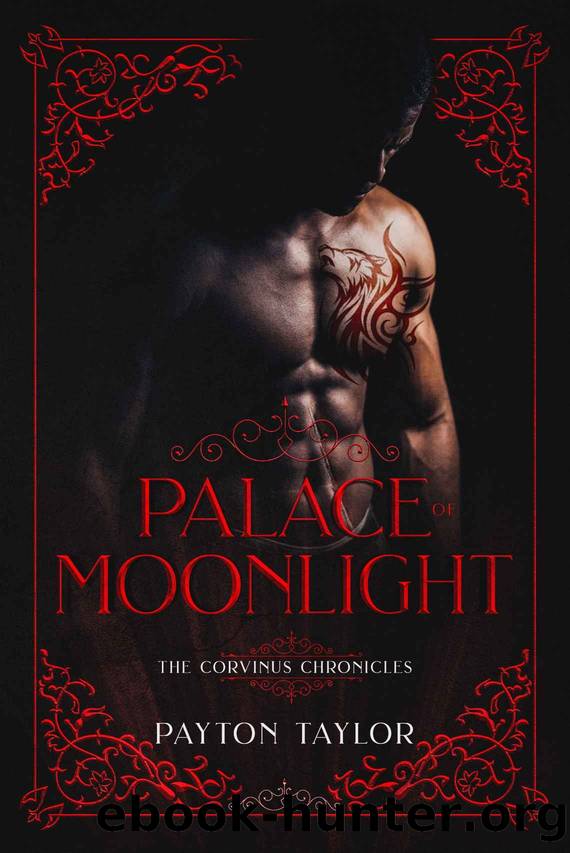 Palace of Moonlight by Payton Taylor & T Steele