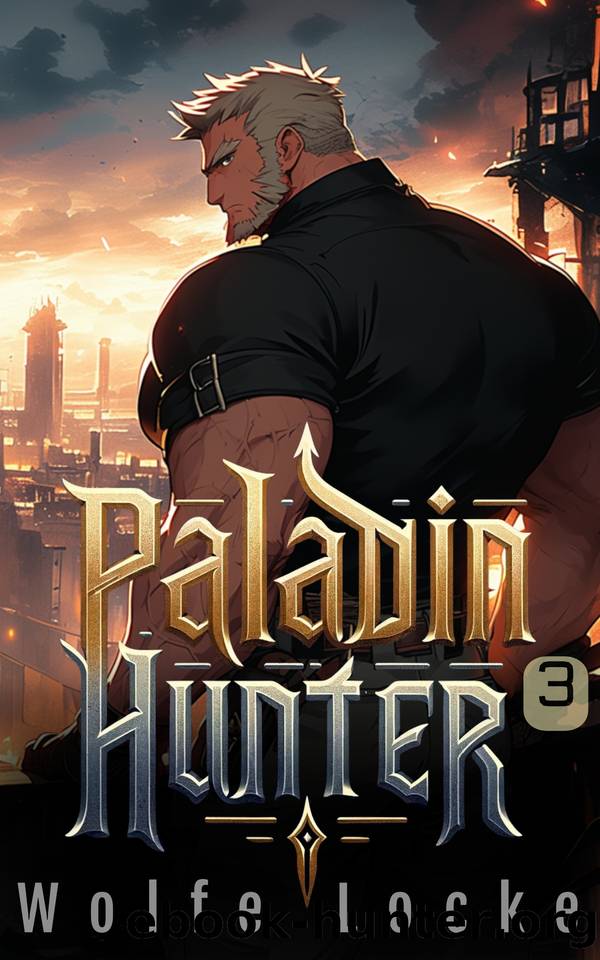 Paladin Hunter: Vol 3, A LitRPG Adventure by Wolfe Locke