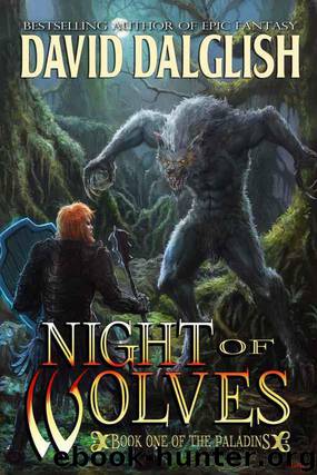Paladins 01 - Night of Wolves by David Dalglish