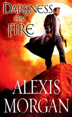 Paladins 09 - Darkness on Fire by Alexis Morgan