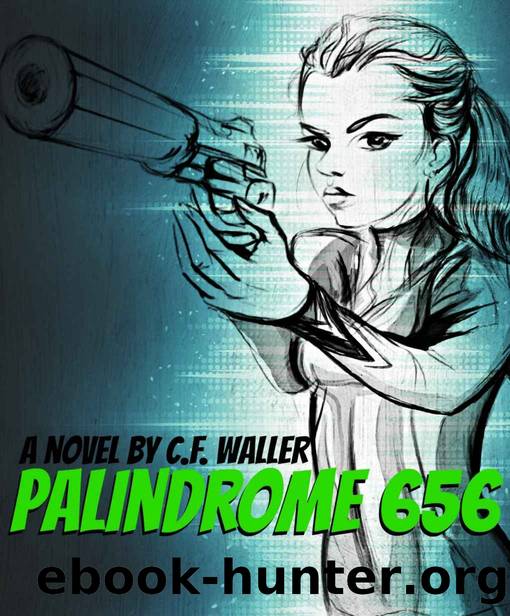 Palindrome 656: DIRECTORS CUT by C. F. WALLER