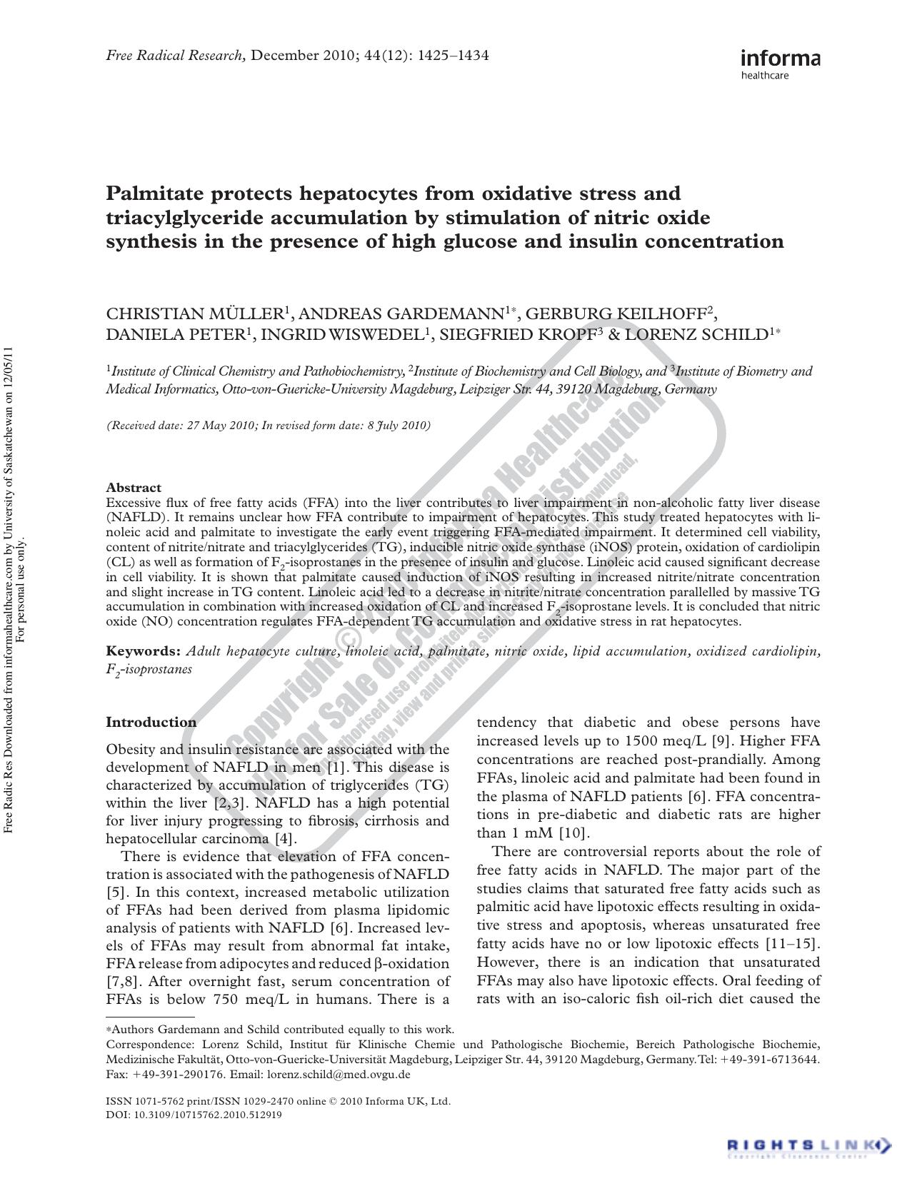 Palmitate protects hepatocytes from oxidative stress and triacylglyceride accumulation by stimulation of nitric oxide synthesis in the presence of high glucose and insulin concentration by unknow