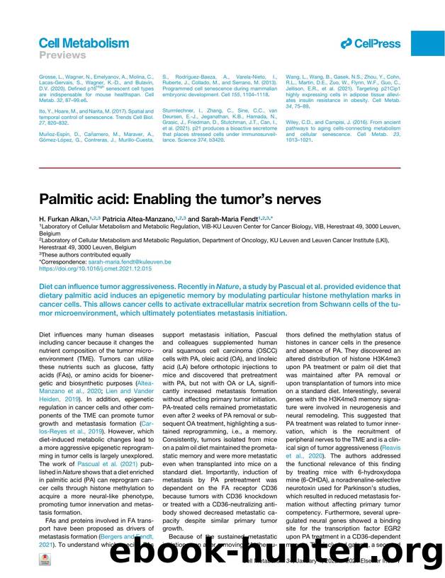 Palmitic acid: Enabling the tumor's nerves by H. Furkan Alkan & Patricia Altea-Manzano & Sarah-Maria Fendt