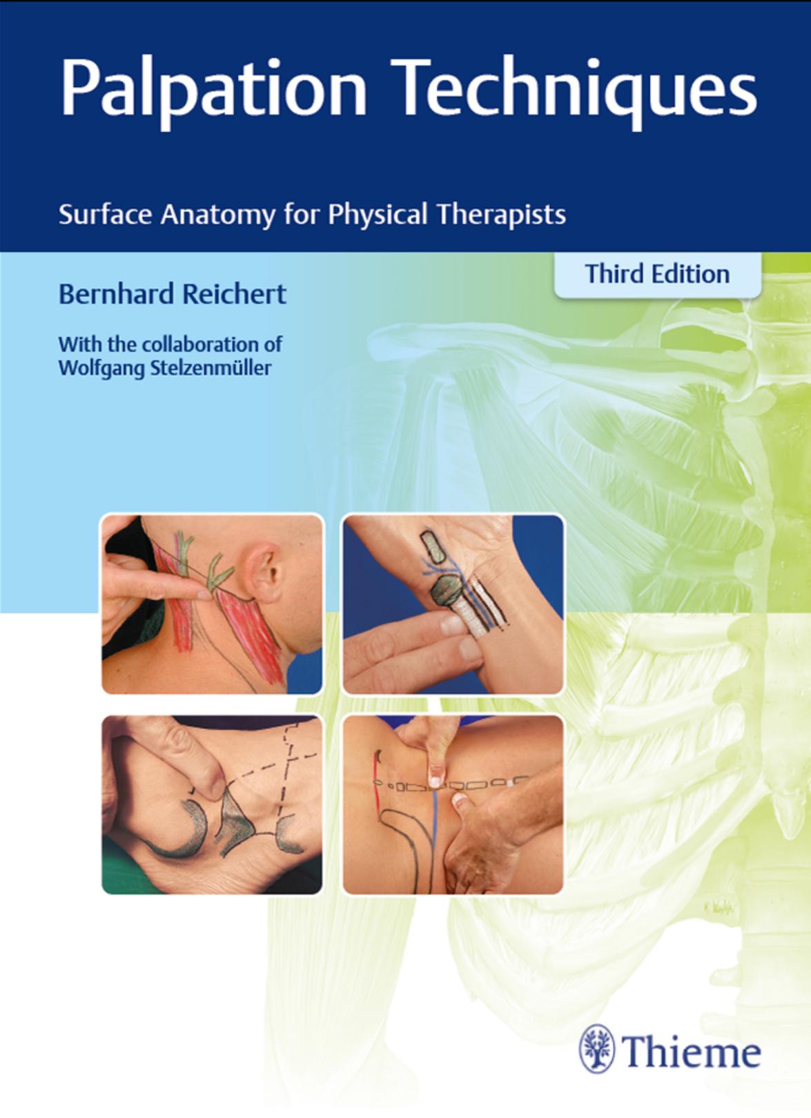 Palpation Techniques: Surface Anatomy for Physical Therapists by Bernhard Reichert; Wolfgang Stelzenmüller