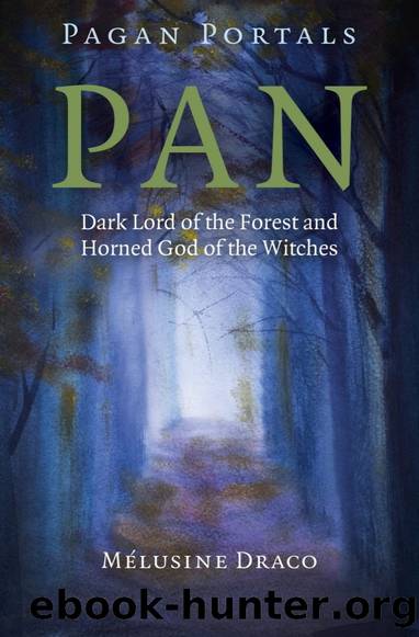 Pan: Dark Lord of the Forest and Horned God of the Witches by Melusine Draco