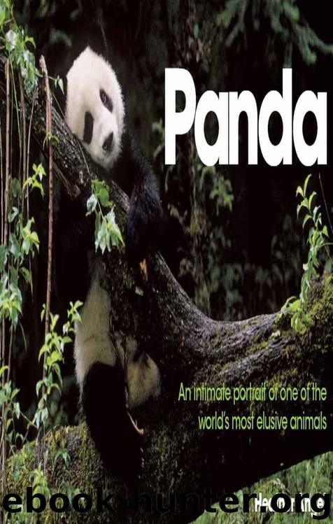 Panda: An Intimate Portrait Of One Of The World's Most Elusive Characters by Heather Angel
