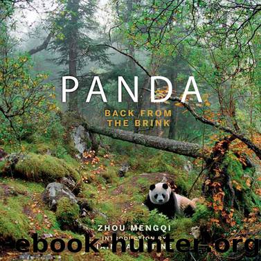Panda: Back from the Brink by Zhou Mengqi