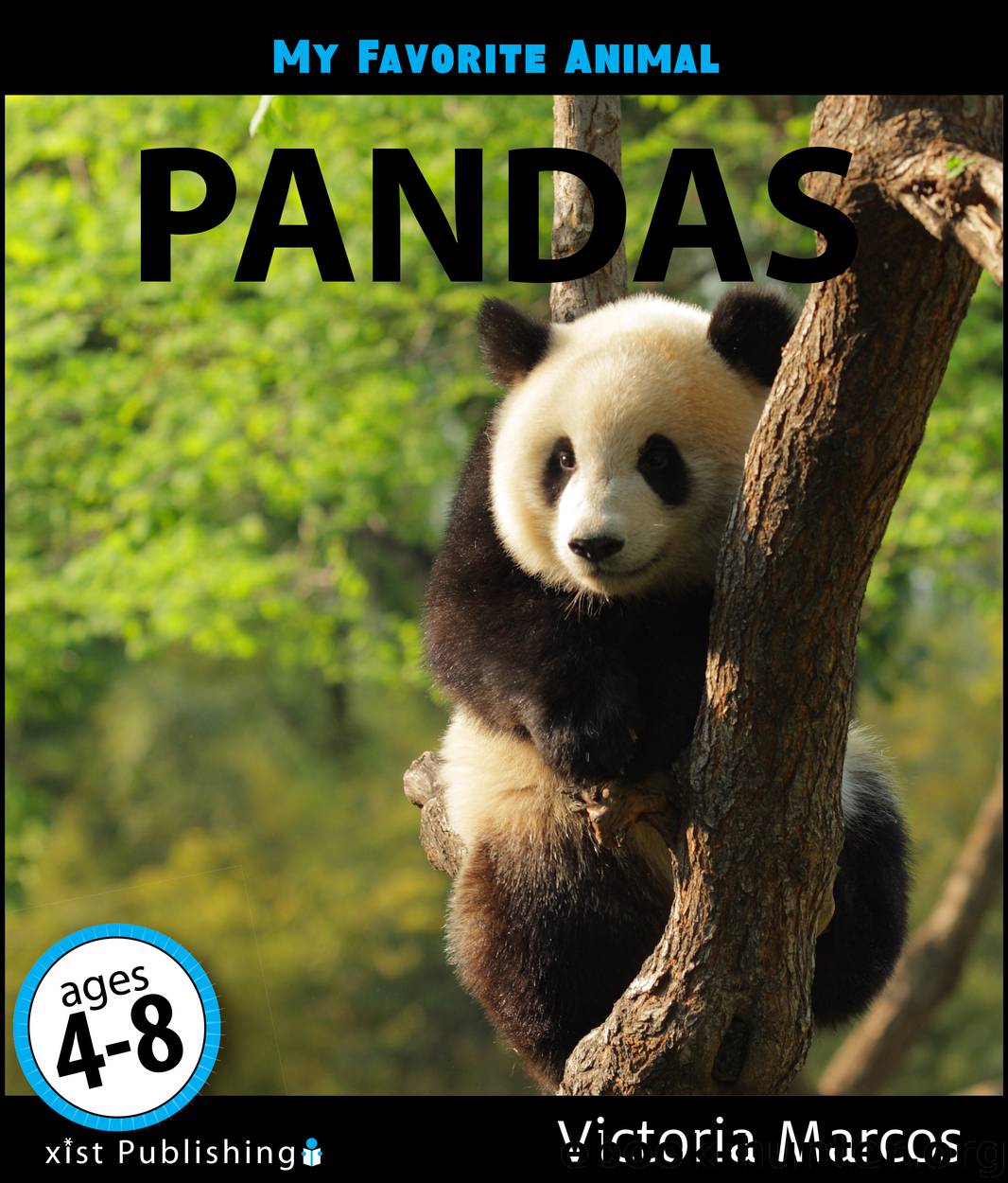 Pandas by Victoria Marcos