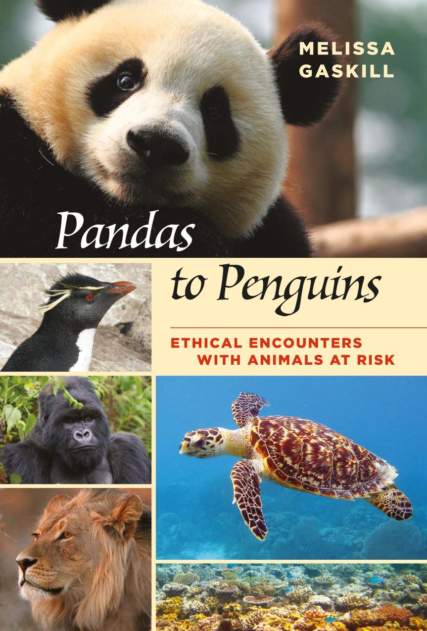 Pandas to Penguins by Melissa and Gaskill