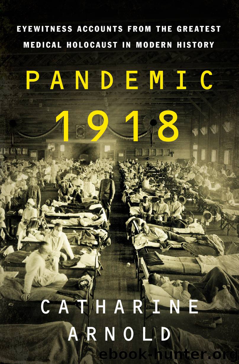 Pandemic 1918 by Catharine Arnold