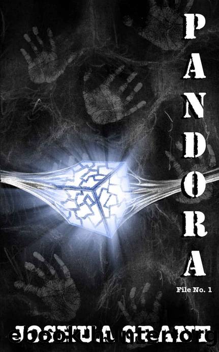 Pandora (The Organization Book 1) by Joshua Grant
